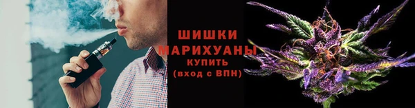 ПСИЛОЦИБИНОВЫЕ ГРИБЫ Аркадак
