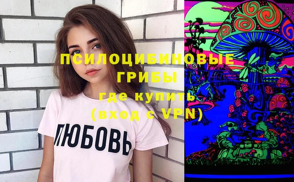 гидра Армянск