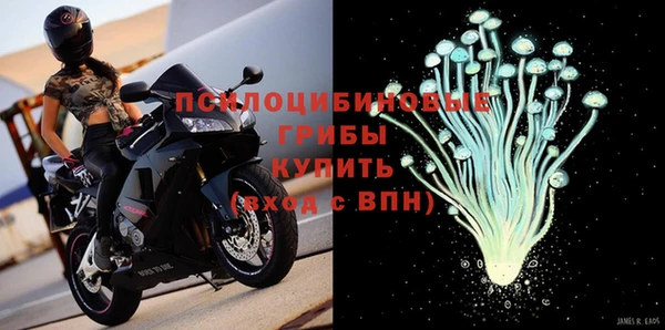 гидра Армянск