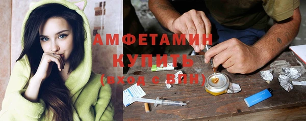 ПСИЛОЦИБИНОВЫЕ ГРИБЫ Аркадак