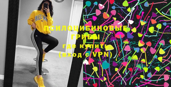 ПСИЛОЦИБИНОВЫЕ ГРИБЫ Аркадак