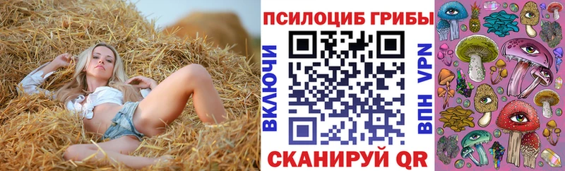 Псилоцибиновые грибы Psilocybe  Рудня 